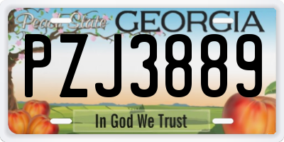 GA license plate PZJ3889