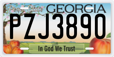 GA license plate PZJ3890