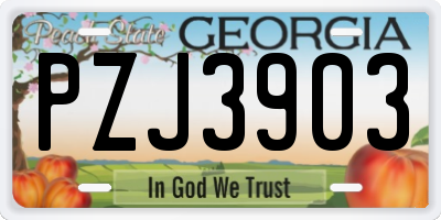 GA license plate PZJ3903