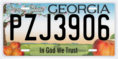 GA license plate PZJ3906