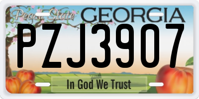 GA license plate PZJ3907