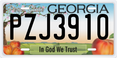 GA license plate PZJ3910