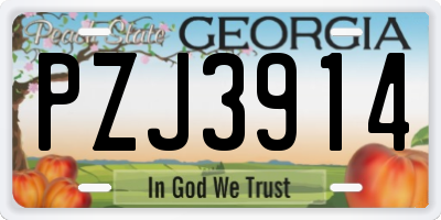 GA license plate PZJ3914