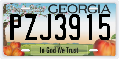 GA license plate PZJ3915