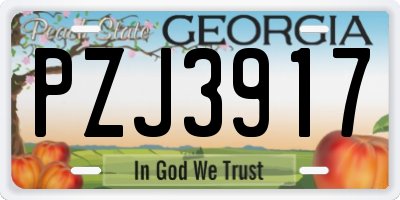 GA license plate PZJ3917