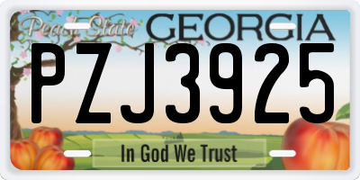 GA license plate PZJ3925