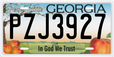 GA license plate PZJ3927