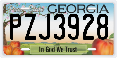 GA license plate PZJ3928