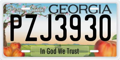 GA license plate PZJ3930