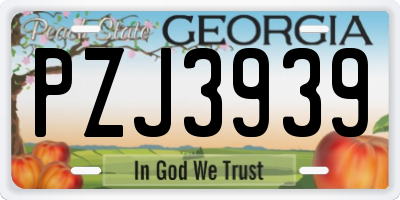 GA license plate PZJ3939