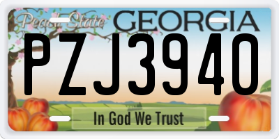 GA license plate PZJ3940