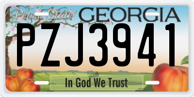 GA license plate PZJ3941