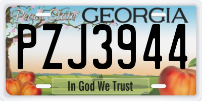 GA license plate PZJ3944