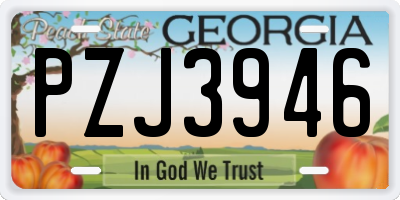 GA license plate PZJ3946