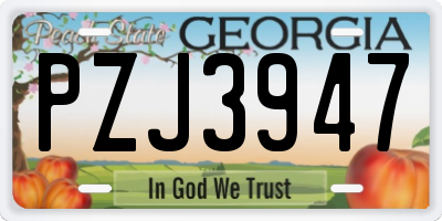 GA license plate PZJ3947
