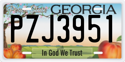 GA license plate PZJ3951