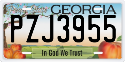 GA license plate PZJ3955