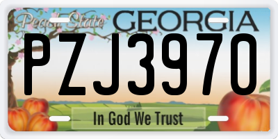 GA license plate PZJ3970