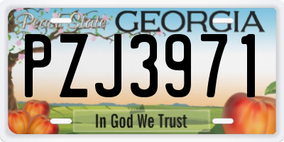 GA license plate PZJ3971