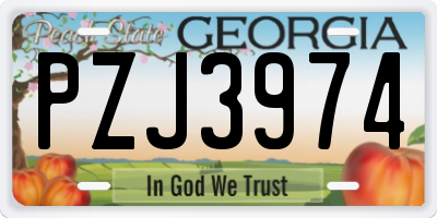 GA license plate PZJ3974