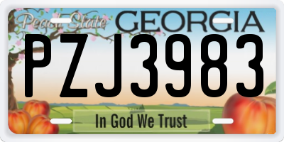 GA license plate PZJ3983