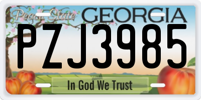 GA license plate PZJ3985