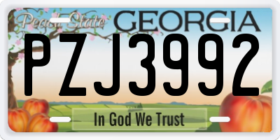 GA license plate PZJ3992