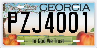 GA license plate PZJ4001