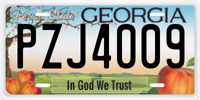 GA license plate PZJ4009