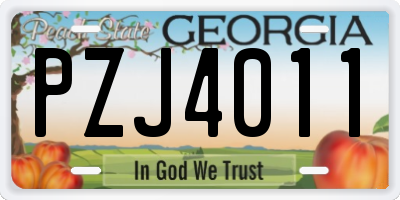 GA license plate PZJ4011