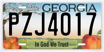 GA license plate PZJ4017