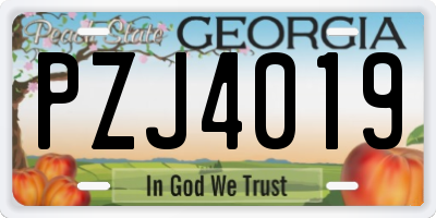 GA license plate PZJ4019