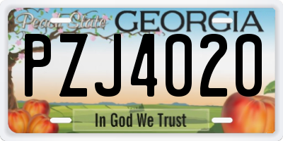 GA license plate PZJ4020