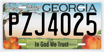 GA license plate PZJ4025