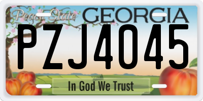 GA license plate PZJ4045