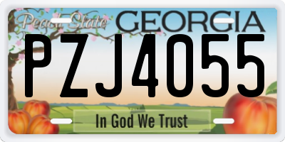 GA license plate PZJ4055