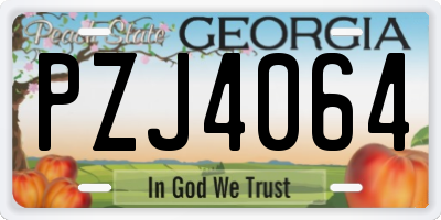 GA license plate PZJ4064