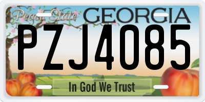 GA license plate PZJ4085