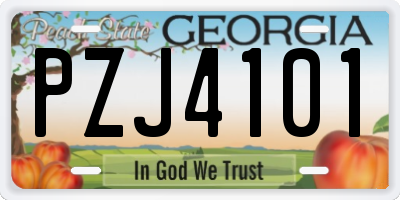 GA license plate PZJ4101