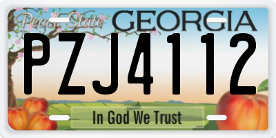 GA license plate PZJ4112