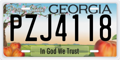 GA license plate PZJ4118