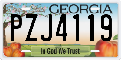GA license plate PZJ4119