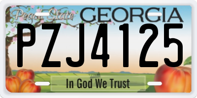 GA license plate PZJ4125