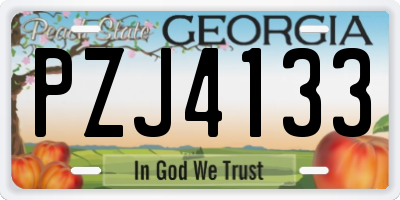 GA license plate PZJ4133