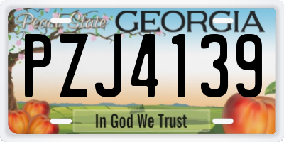 GA license plate PZJ4139