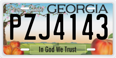 GA license plate PZJ4143