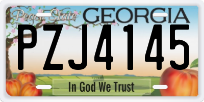 GA license plate PZJ4145