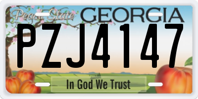 GA license plate PZJ4147