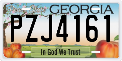 GA license plate PZJ4161