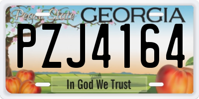 GA license plate PZJ4164